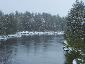 Penobscot River from Grant Brook Trail