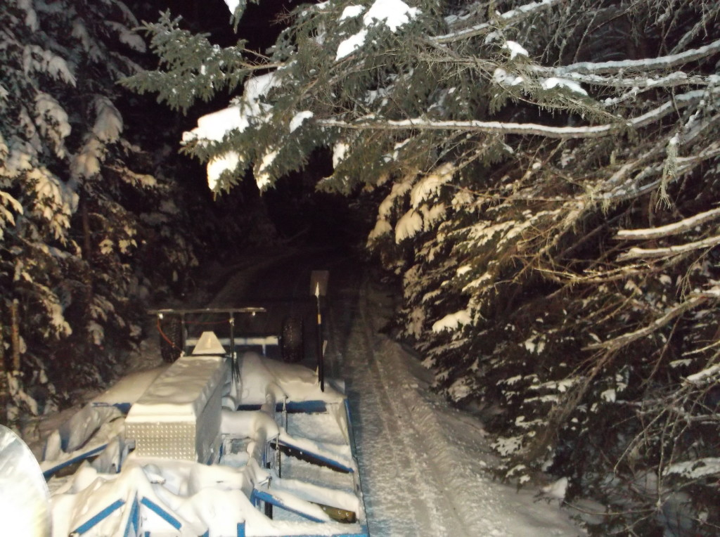 Jo Mary Trail Grooming at night