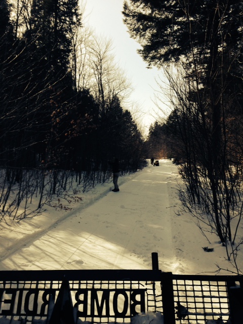 Cutting brush on the way to the new 109 trail